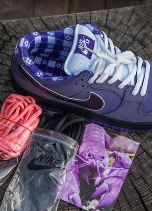 Кроссовки nike sb dunk purple lobster (унисекс)