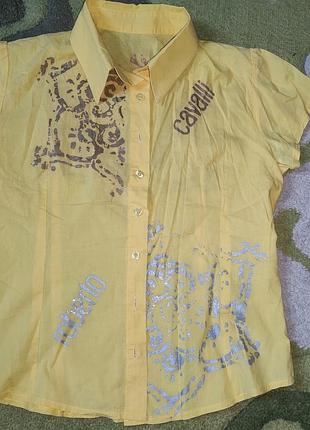 Рубашка roberto cavalli
