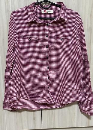 Сорочка в клітинку