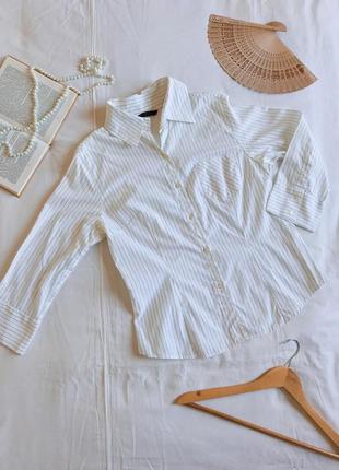 Базова бавовняна біла сорочка в тонку смужку (розмір 40-42)