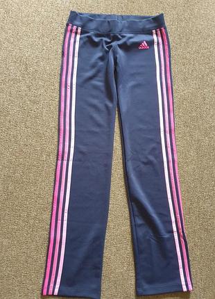 Спортивні штани, нові, 42 р., низька посадка, тканина - дайвінг, заміри на фото