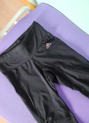 Спортивные бриджи adidas