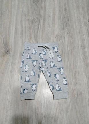 Штани з пінгвінами