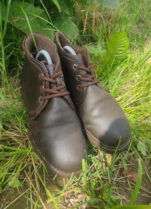 Женские кожаные ботинки kater, 38 размер4 фото