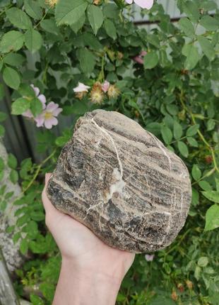 Кремнієвий камінь в акваріум / тераріум