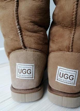 Сапоги угги из коллекции ugg2 фото