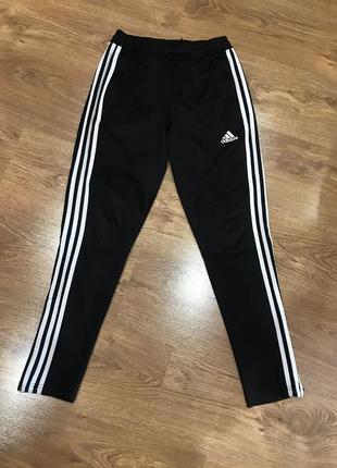 Спортивные штаны.  adidas1 фото