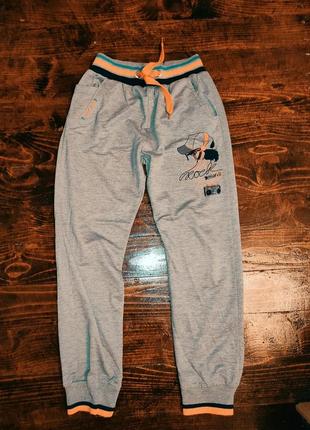 Спортивні штани