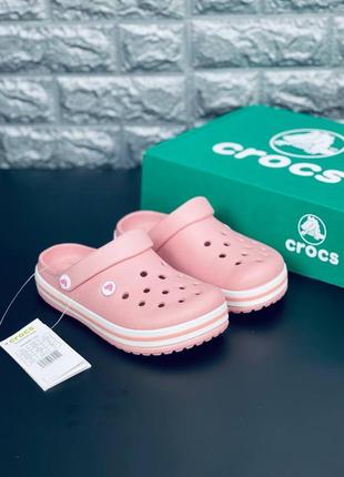 Crocs кроксы шлепанцы мужские / женские 36-44 розовые пудра