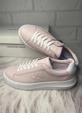 Жіночі, шкіряні кеди *calvin klein*