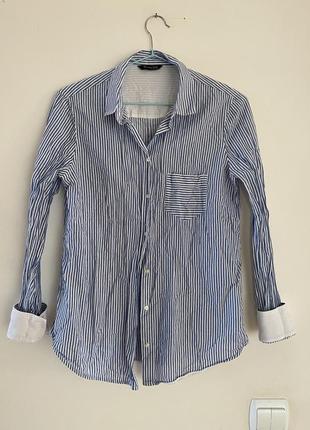 Фірмова базова бавовняна сорочка massimo dutti . оригінал