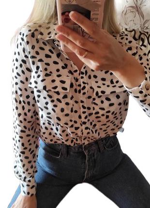 Рубашка сорочка лео блузка блуза xs/s(8)
