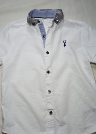 Рубашка детская. белая рубашка с коротким рукавом. детская рубашка. рубашка с коротким рукавом3 фото