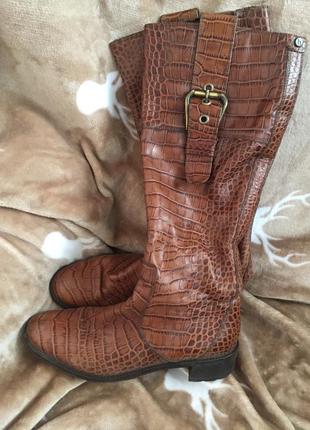 Шкіряні чоботи hogl