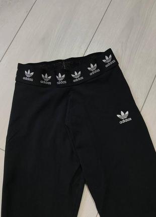 Лосины adidas лампасы лосины2 фото