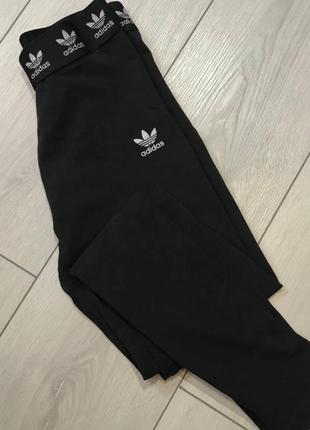 Лосіни adidas лампаси лосини