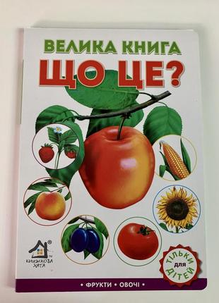 Велика книга що це? ганна чубач