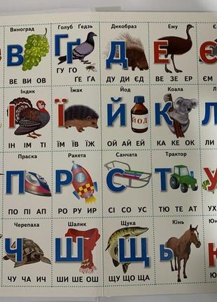 Книга перші знання малюка