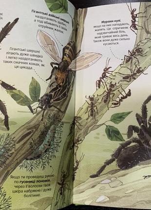 Велика книга комах і не тільки | емілі боун5 фото