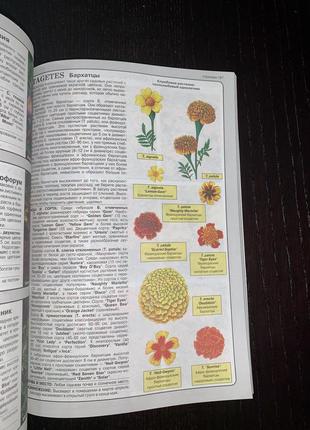 Книга «все о цветах в вашим саду» д. хессайон5 фото