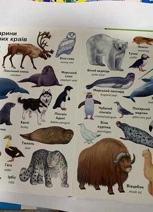 Книга перші слова. тварини + англійська