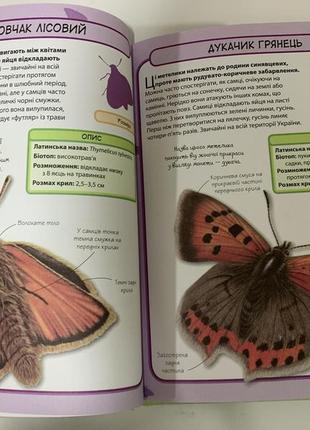 Книга перші слова. тварини + англійська