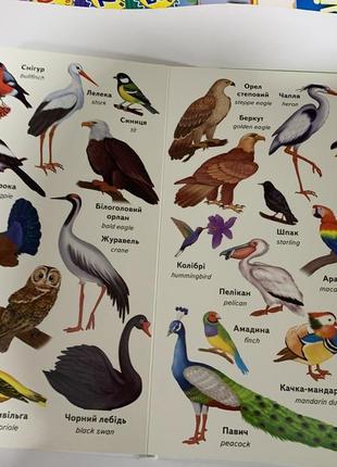 Книга перші слова. тварини + англійська