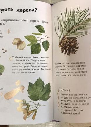 Книга енциклопедія дошкільника3 фото