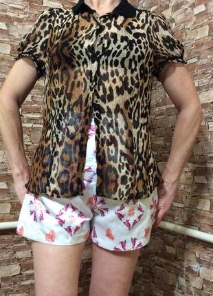 Блуза женская тигровая спереди пуговицы шифон р.46-48