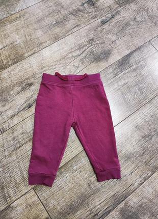 Штаны утепленные, st. bernard, р. 6-9мес., 68-74, длинна 37см