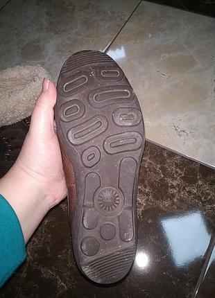 Ugg оригинал 5