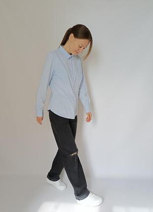 Голубая рубашка в белую полоску
