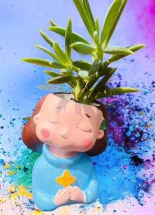 Творческие наборы для росписи кашпо