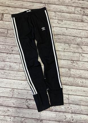 Легенцы adidas