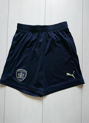 Спортивні шорти fc barnsley