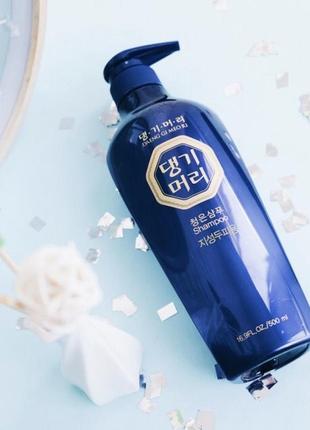 Daeng gi meo ri vitalizing shampoo 500 мл регенерирующий шампунь