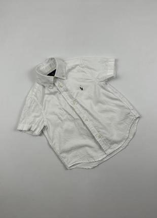 Біла сорочка теніска на 3 роки polo ralph lauren