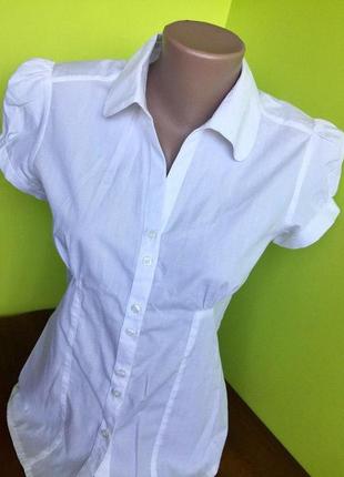 Блузка офисная белая e-vie1 фото