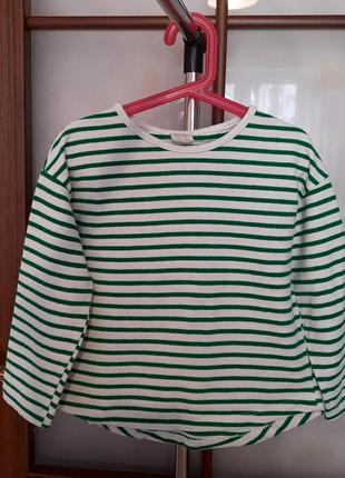 Реглан zara 122p