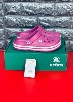 Crocs crocband сабо жіночі / підліткові темно-рожеві розміри 36-41