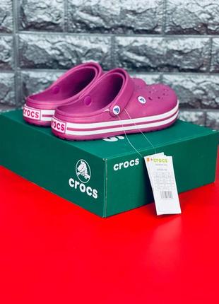 Crocs crocband сабо женские / подростковые темно-розовые размеры 36-418 фото