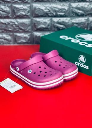 Crocs crocband сабо женские / подростковые темно-розовые размеры 36-417 фото