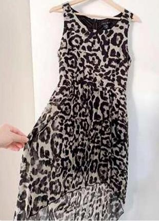 Шикарное платье леопард amisu р.с-м