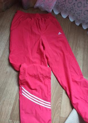 Штани adidas originals оригінал
