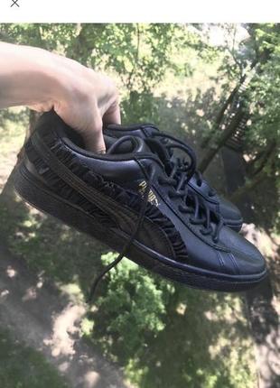 Puma