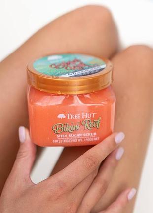 Скраб для тела tree hut bikini reef sugar scrub