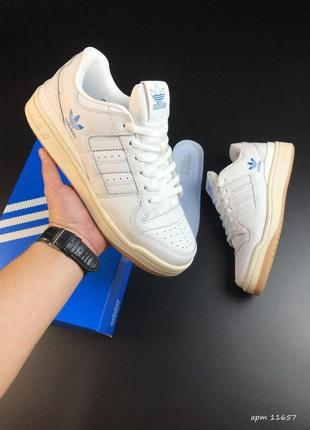 Чоловічі кросівки adidas