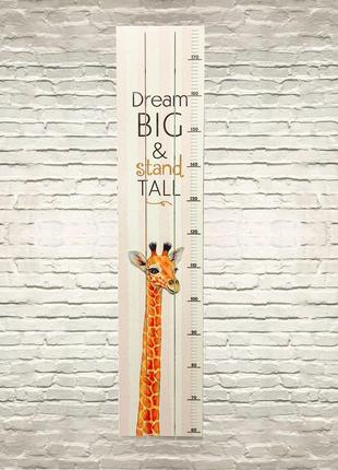 Ростомер деревянный "dream big&stand tall"
