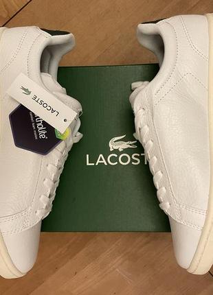 Снікери кросівки кеди lacoste оригінал9 фото