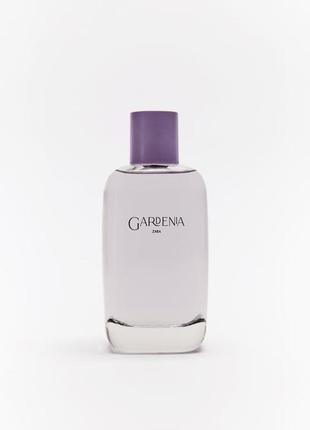 Жіноча парфумована вода парфуми зара zara gardenia 180 ml limited edition іспанія1 фото